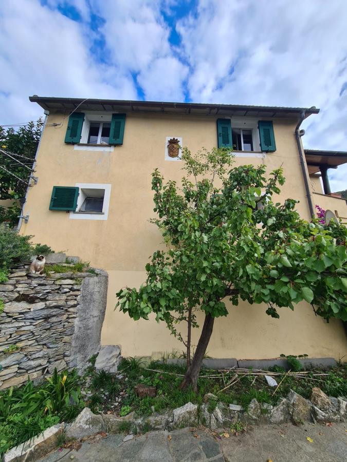 Castrusso Il Frantoio Di Rapallo By Portofinovacanze Zewnętrze zdjęcie