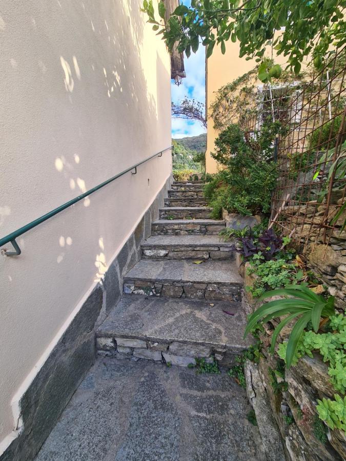 Castrusso Il Frantoio Di Rapallo By Portofinovacanze Zewnętrze zdjęcie